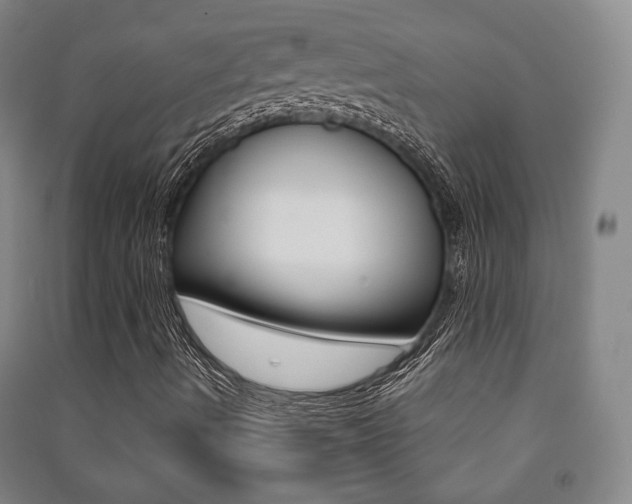 X0000091501490200708161223