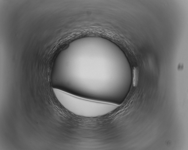 X0000091501491200708161223