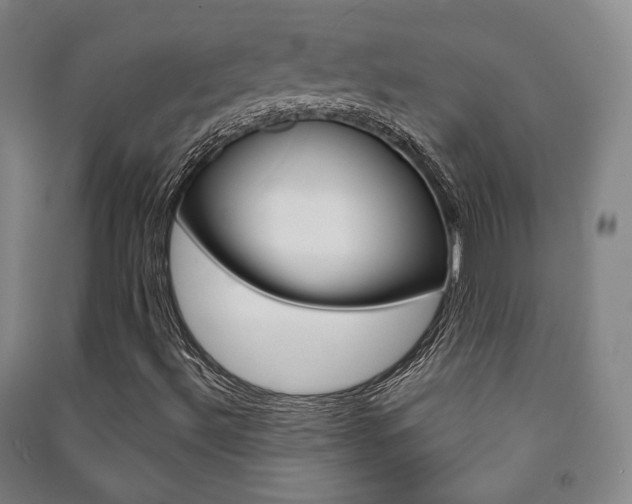 X0000091501492200708161223
