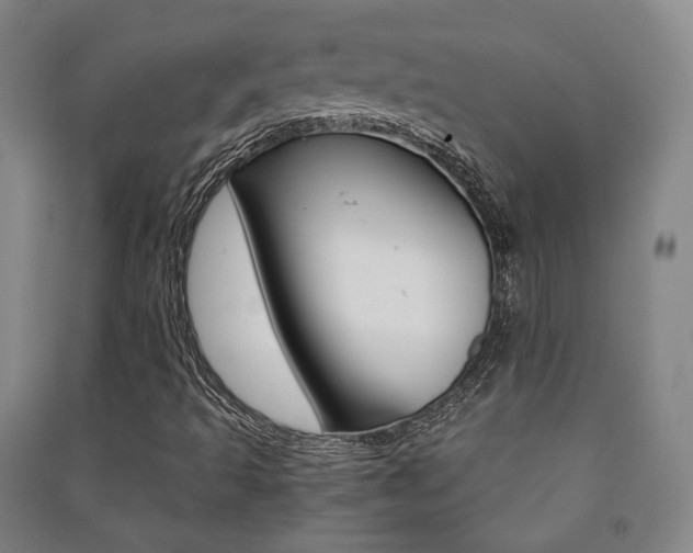 X0000091501493200708161223