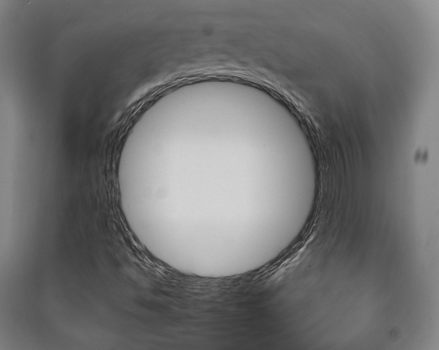 X0000091501494200708161223