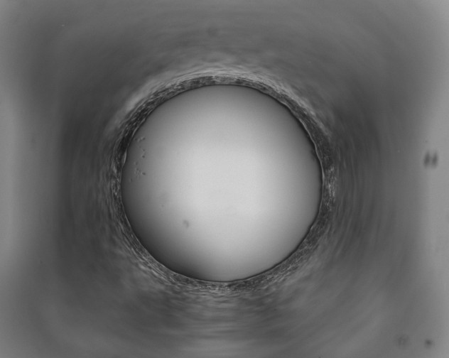 X0000091501495200708161223