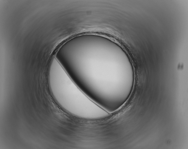 X0000091501497200708161223