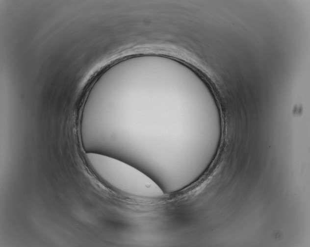 X0000091501498200708161223