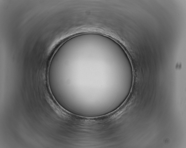 X0000091501499200708161223