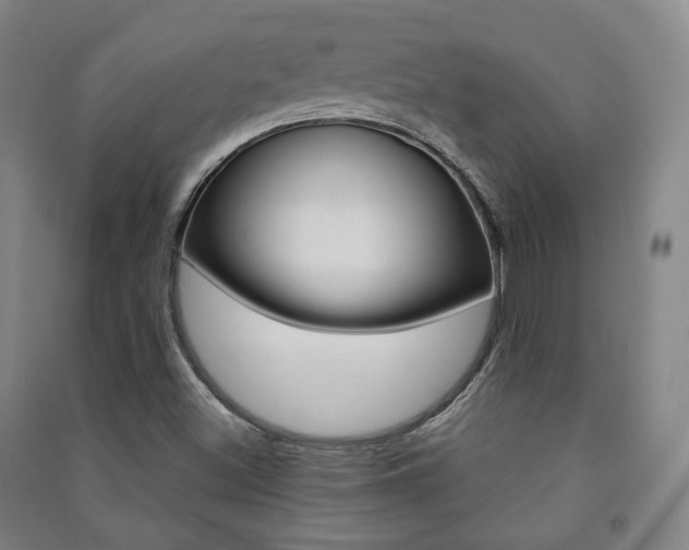 X0000091501500200708161223