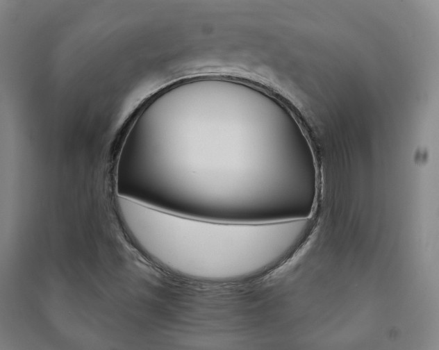 X0000091501501200708161223