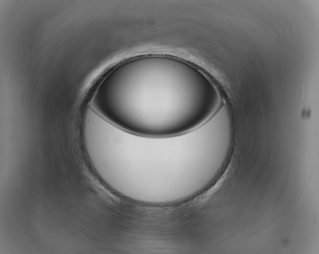X0000091501502200708161223