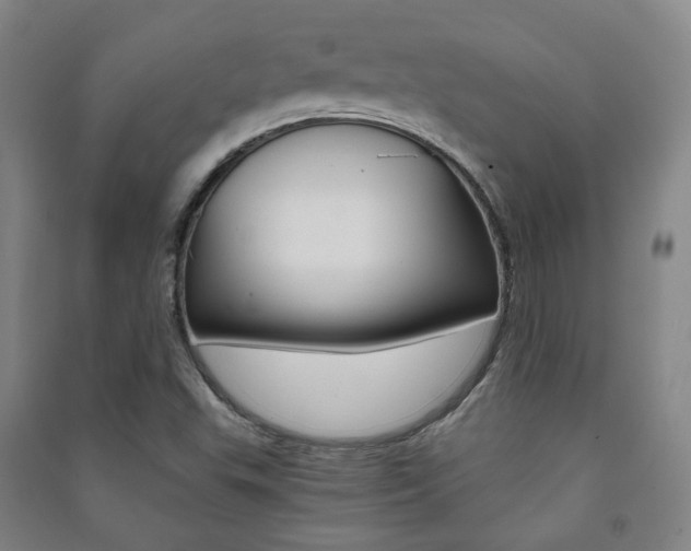 X0000091501503200708161223