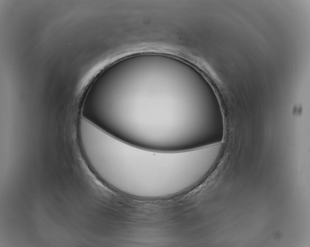 X0000091501504200708161223