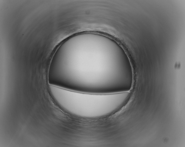 X0000091501505200708161223