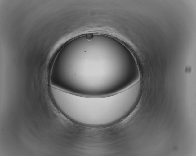 X0000091501506200708161223