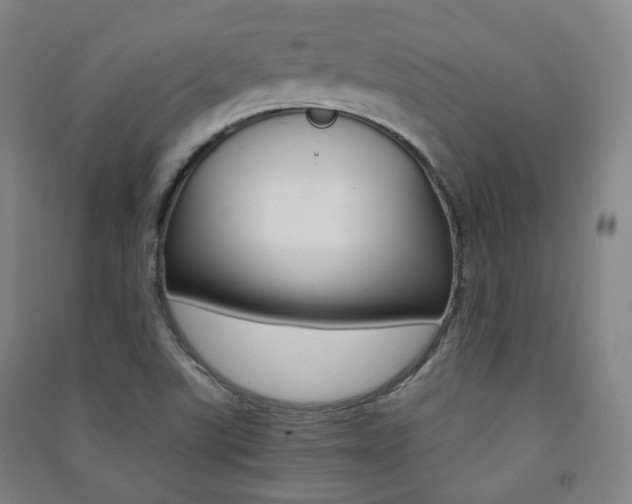 X0000091501507200708161223