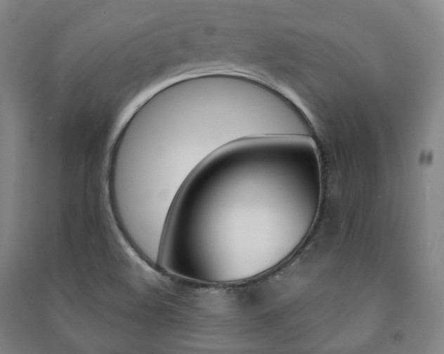 X0000091501508200708161223