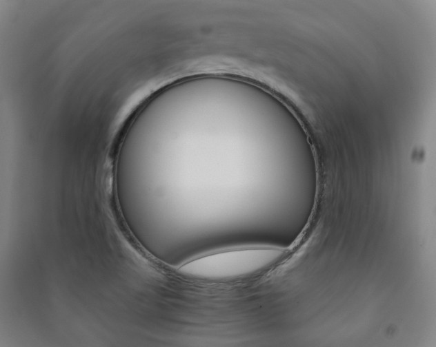 X0000091501509200708161223
