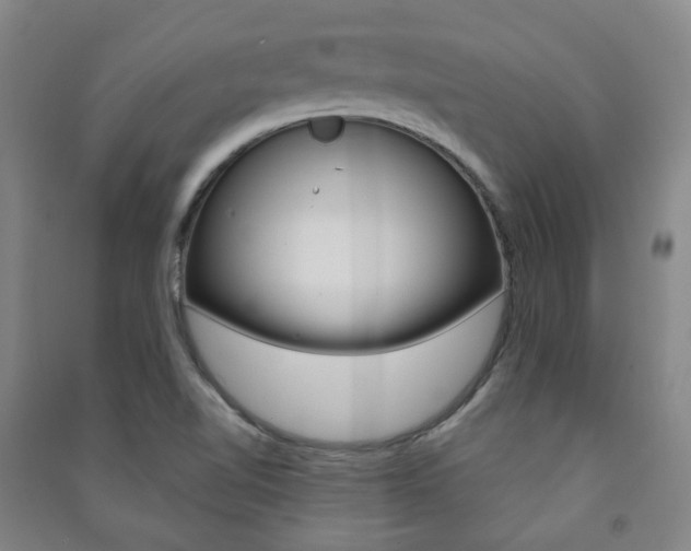 X0000091501510200708161223