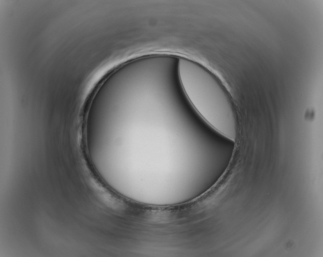 X0000091501511200708161223
