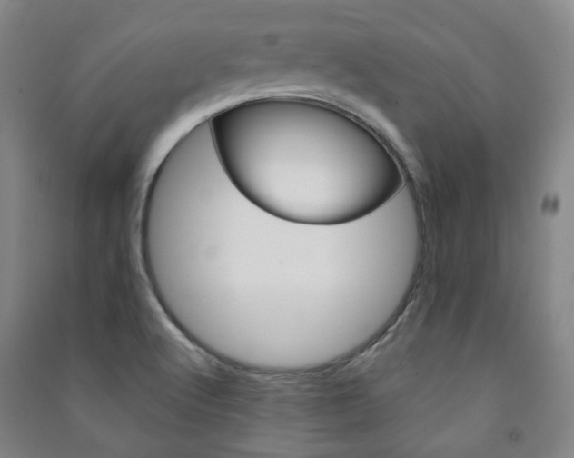 X0000091501512200708161223