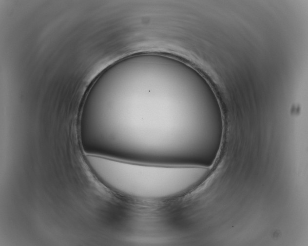 X0000091501513200708161223