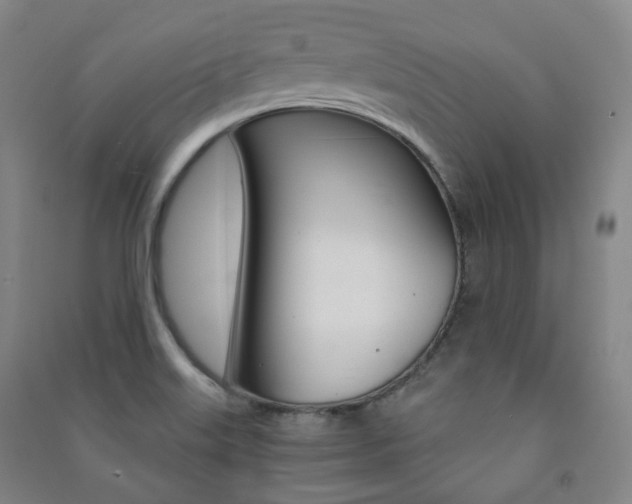 X0000091501515200708161223