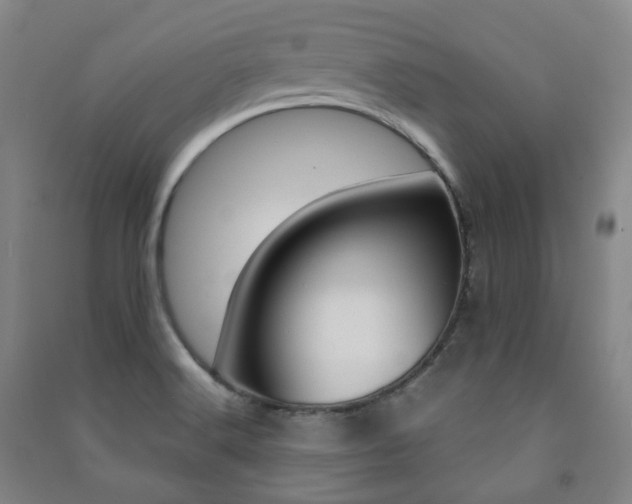 X0000091501516200708161223