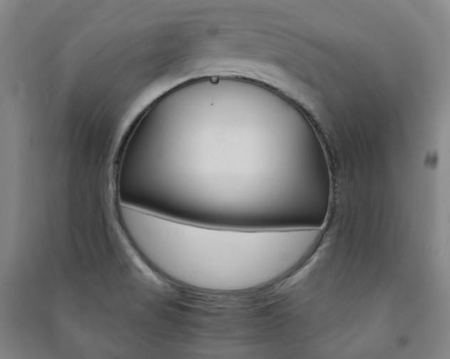 X0000091501517200708161223