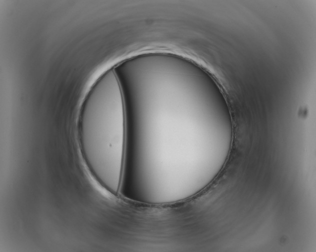 X0000091501519200708161223