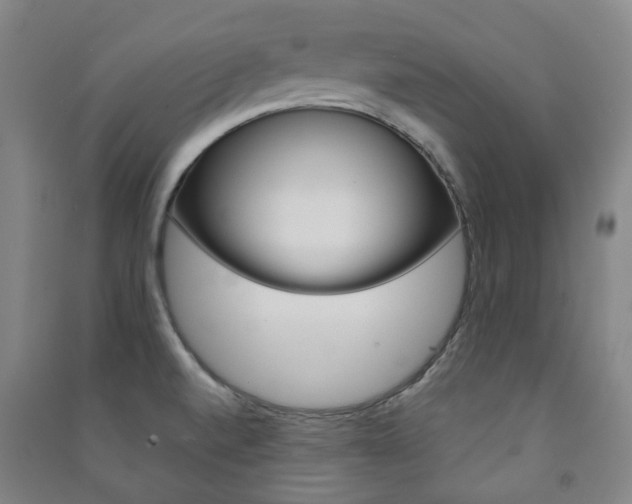 X0000091501520200708161223