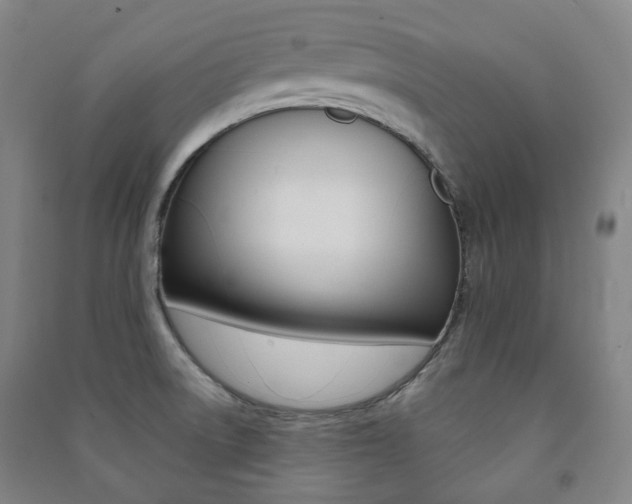 X0000091501522200708161223