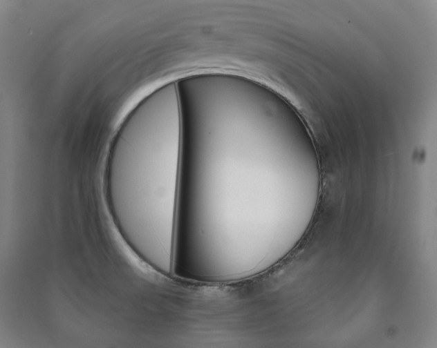 X0000091501523200708161224
