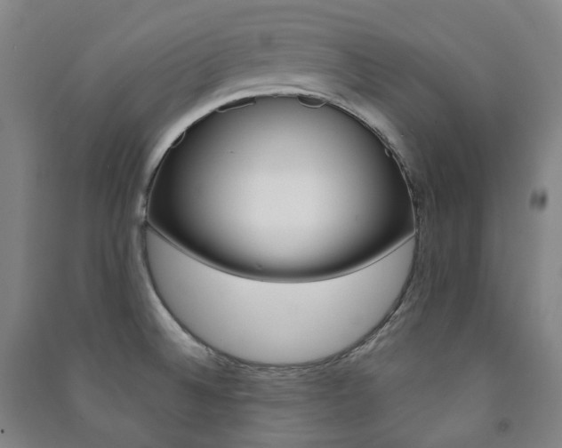 X0000091501524200708161224