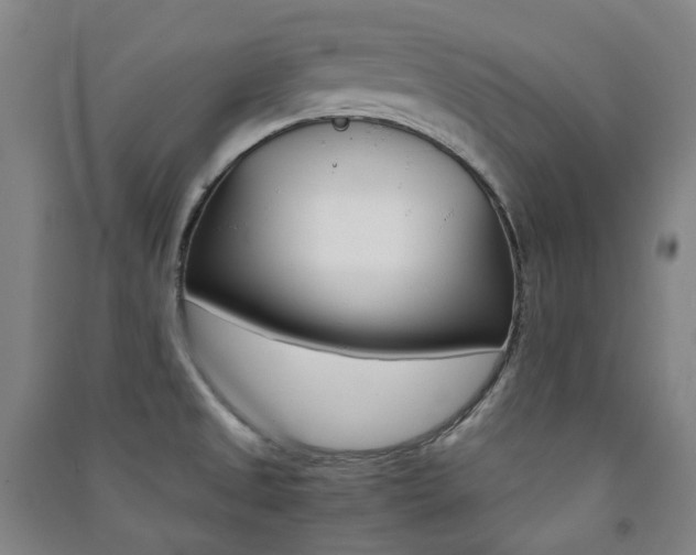 X0000091501525200708161224