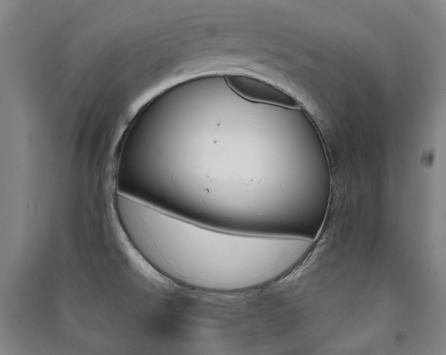 X0000091501526200708161224