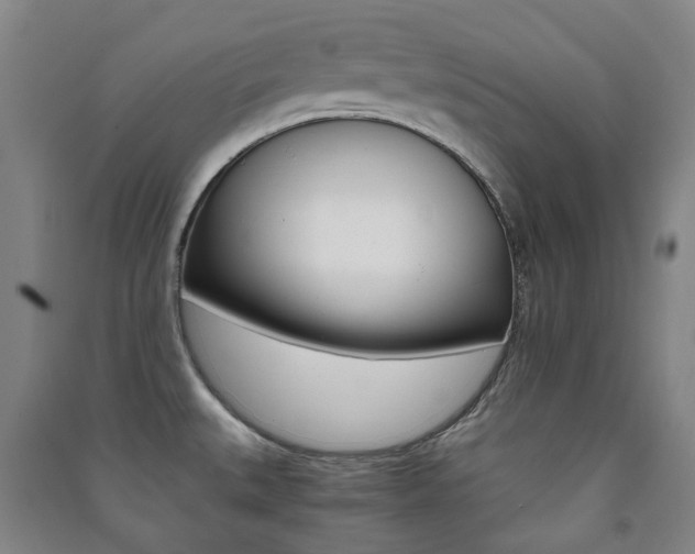 X0000091501527200708161224