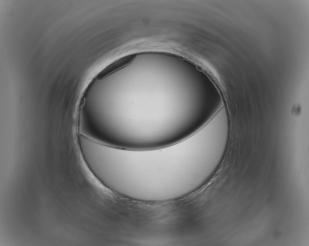 X0000091501528200708161224