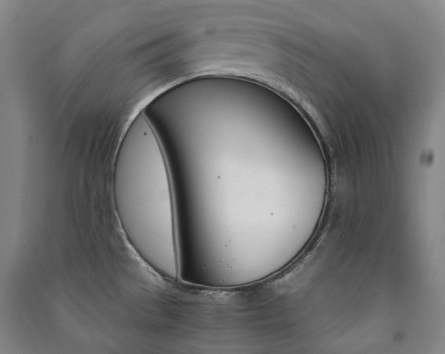X0000091501529200708161224