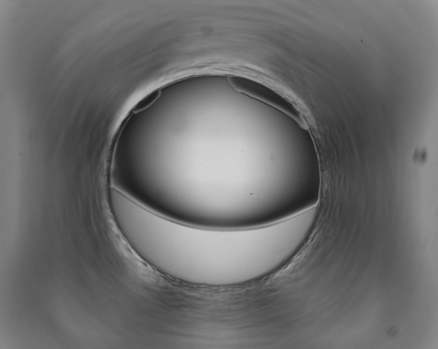 X0000091501530200708161224
