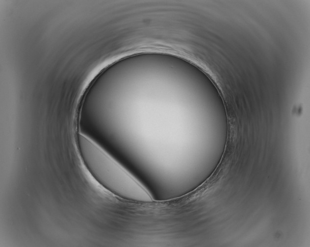 X0000091501531200708161224