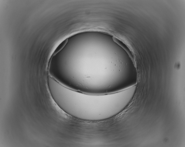 X0000091501532200708161224
