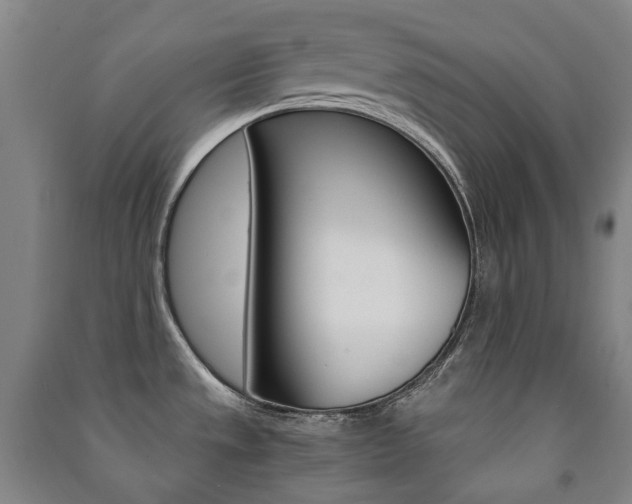 X0000091501533200708161224