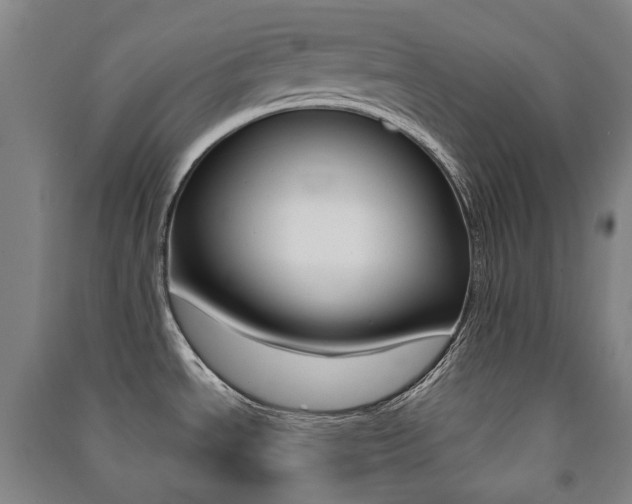 X0000091501534200708161224