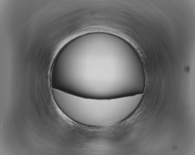 X0000091501535200708161224