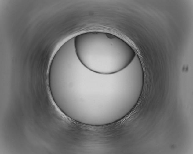 X0000091501536200708161224