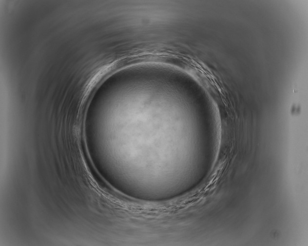 X0000091500003200708161508