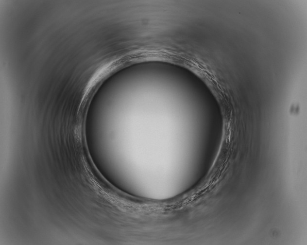 X0000091500004200708161508