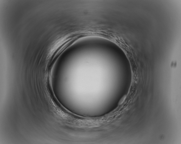 X0000091500005200708161508