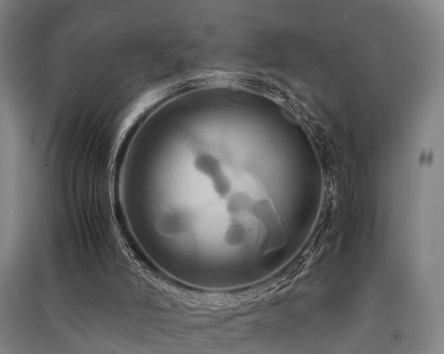 X0000091500006200708161508