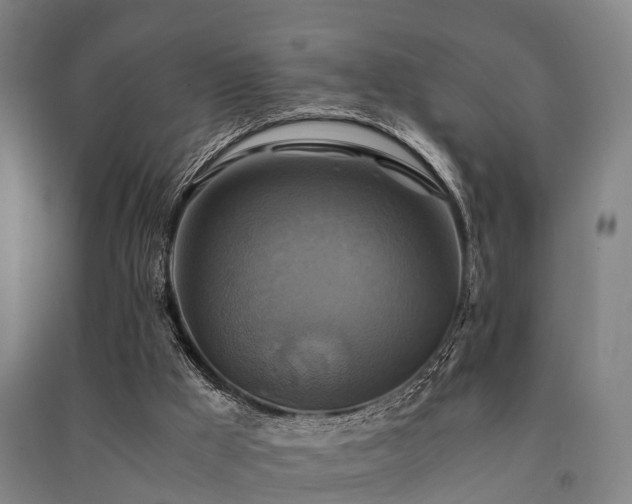 X0000091500009200708161508