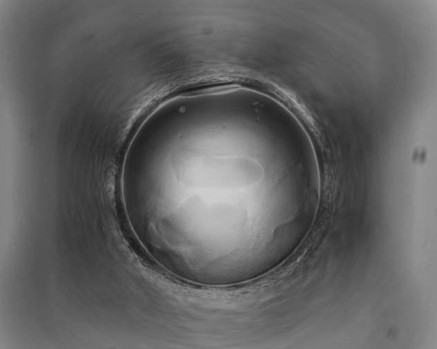 X0000091500010200708161508