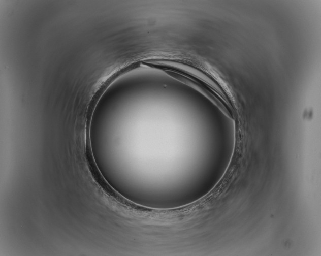 X0000091500011200708161508